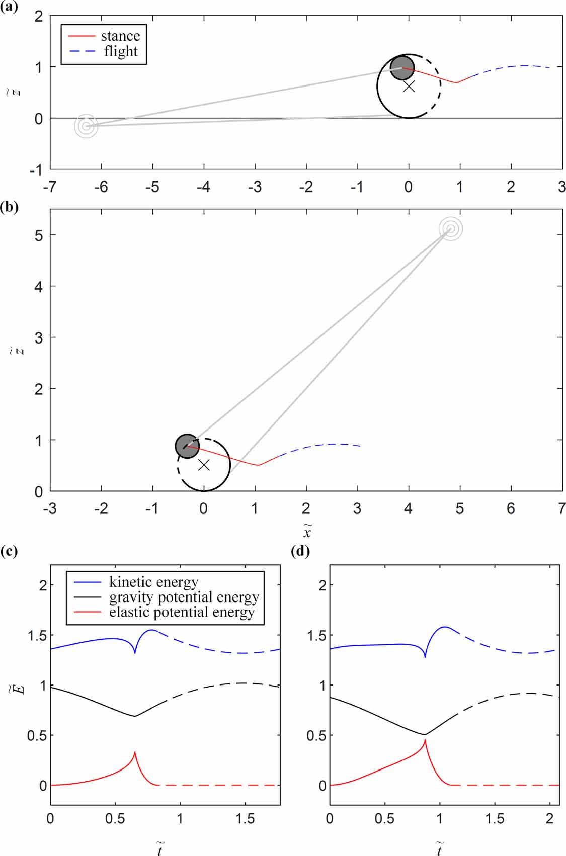 The generalized spring-loaded inverted pendulum model for analysis of ...