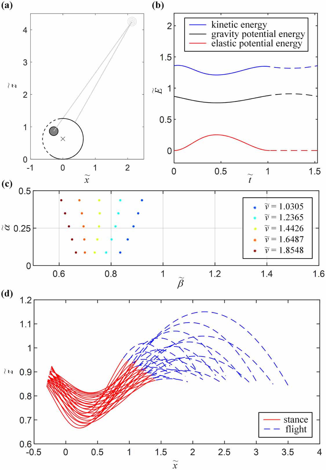 The generalized spring-loaded inverted pendulum model for analysis of ...