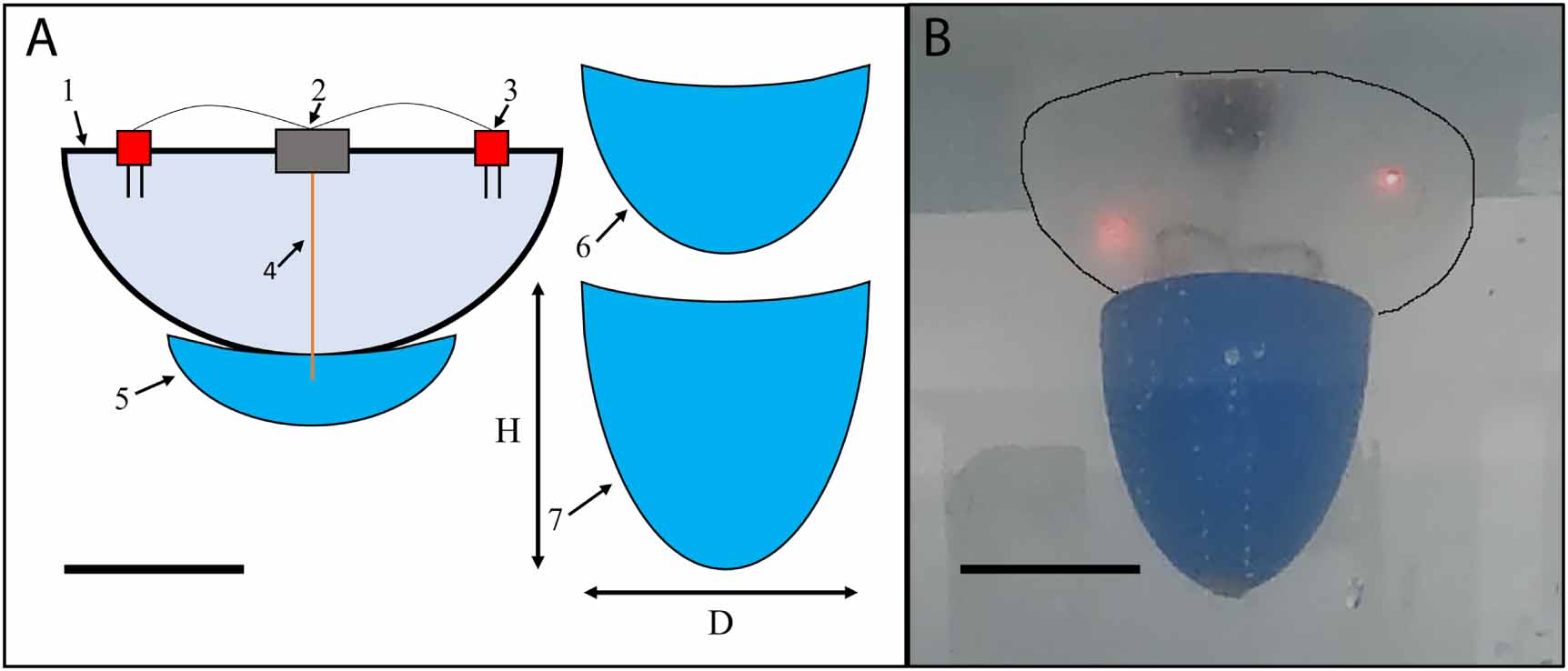 Electromechanical enhancement of live jellyfish for ocean exploration ...