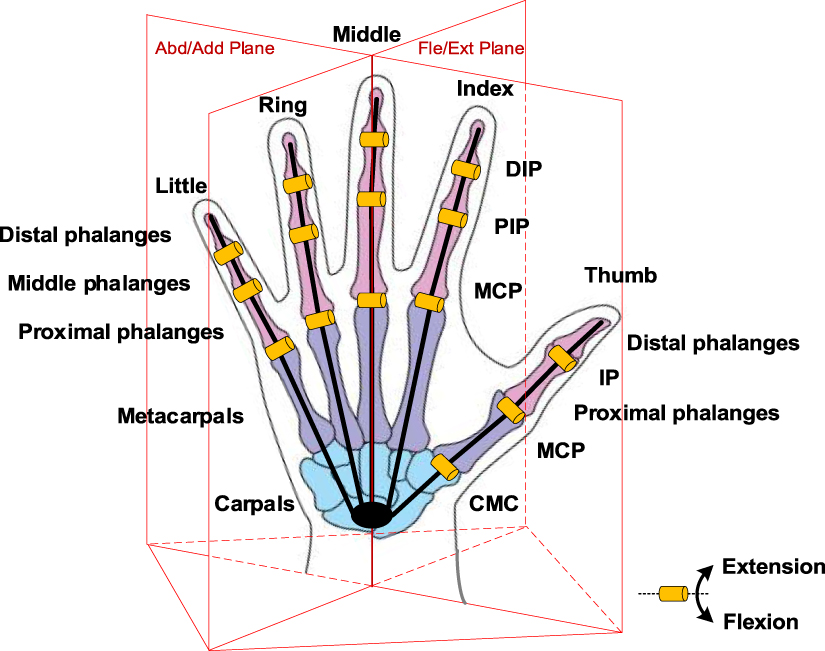 Towards humanlike grasp in robotic hands: mechanical implementation of ...