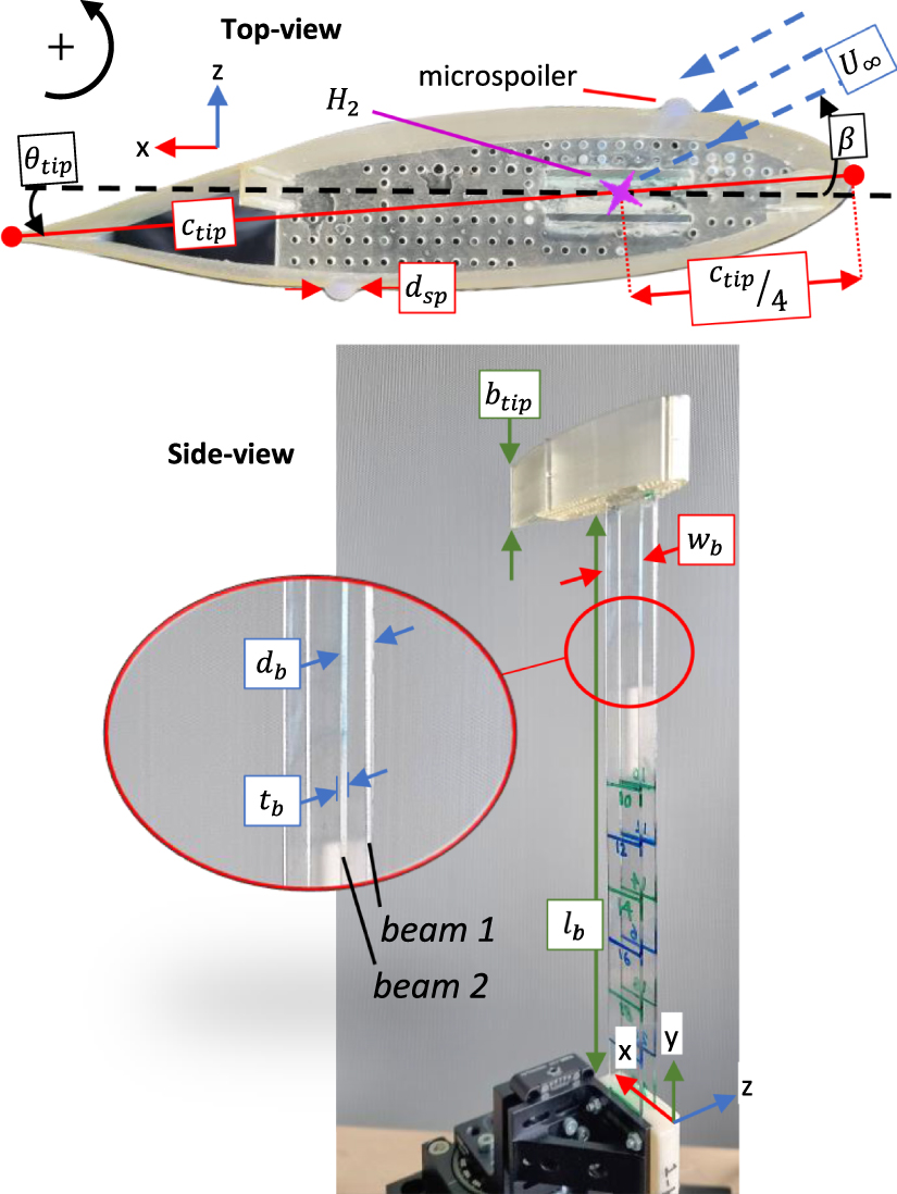 Adaptivity of a leaf-inspired wind energy harvester with