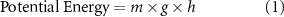 Equation (1)