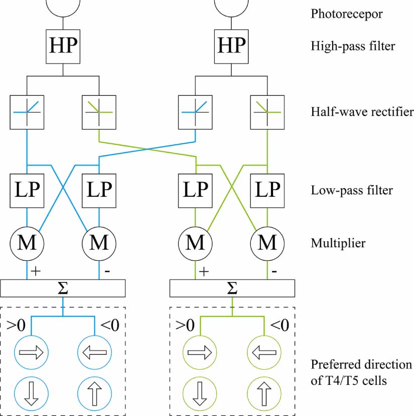 Moving object detection based on bioinspired background subtraction ...