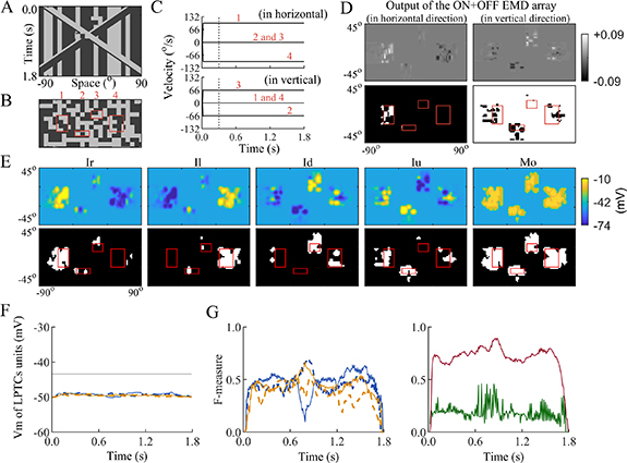 Moving object detection based on bioinspired background subtraction ...