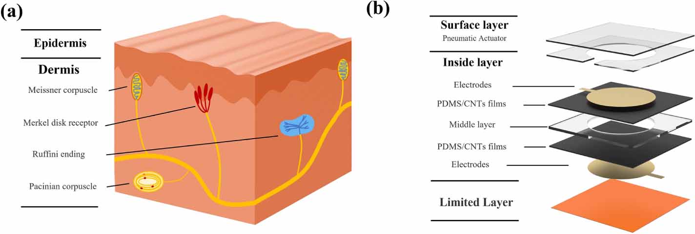 A tactile sensing system capable of recognizing objects based on ...