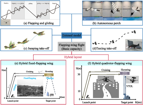 Designing efficient bird-like flapping-wing aerial vehicles: insights ...