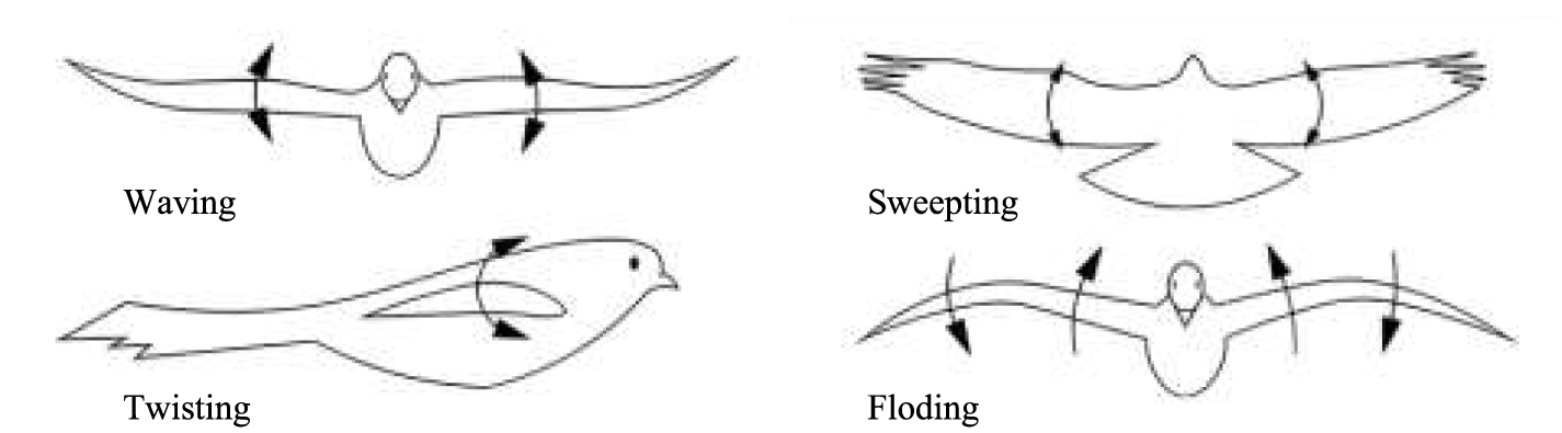 Designing efficient bird-like flapping-wing aerial vehicles: insights ...