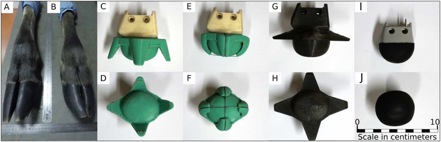 Robot Insect Foot Robotic feet modeled after ungulates improve locomotion on soft wet ...