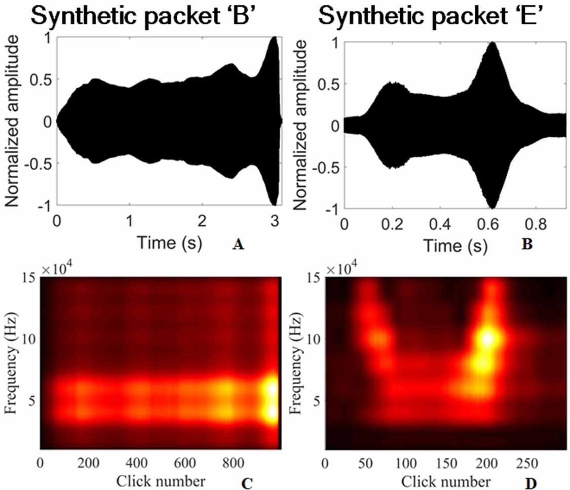 The passive recording of the click trains of a beluga whale ...