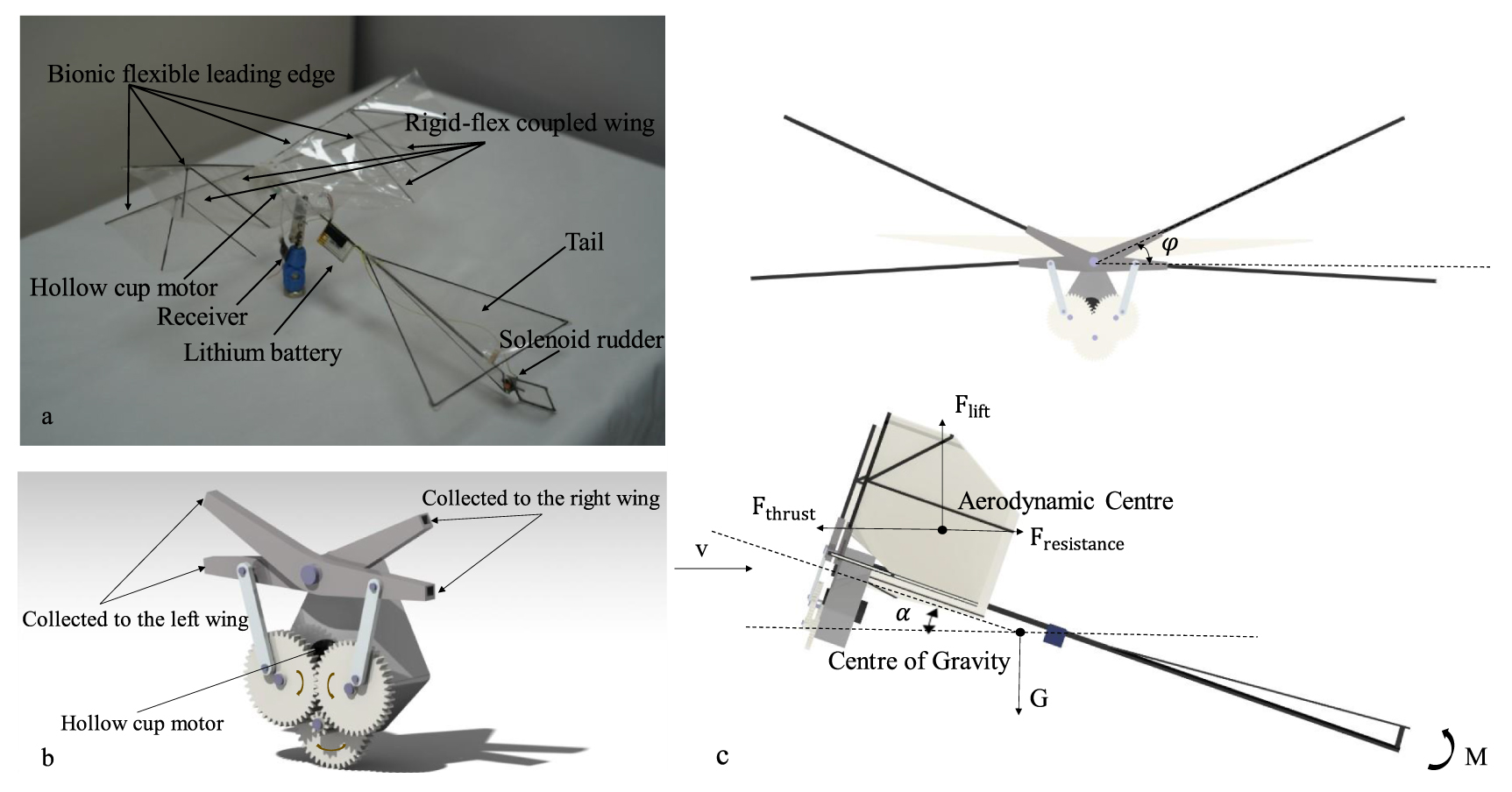 Insect-inspired passive wing collision recovery in flapping wing ...