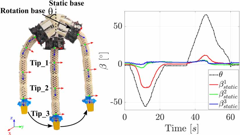 Plant-inspired decentralized controller for robust orientation control ...