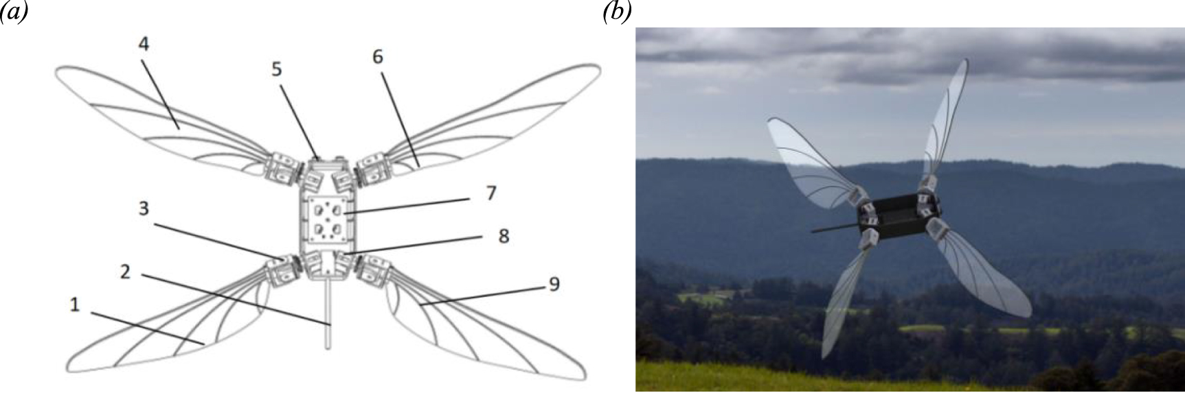 Design and implementation of an independent-drive bionic dragonfly ...
