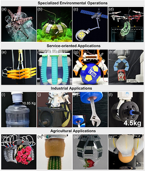 Bio-inspired multimodal soft grippers: a review - IOPscience