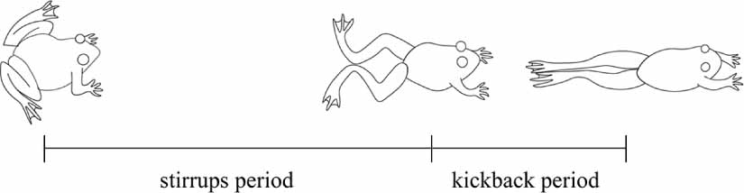 Frog Machine Science Design and realization of a low-drive bionic frog robot - IOPscience