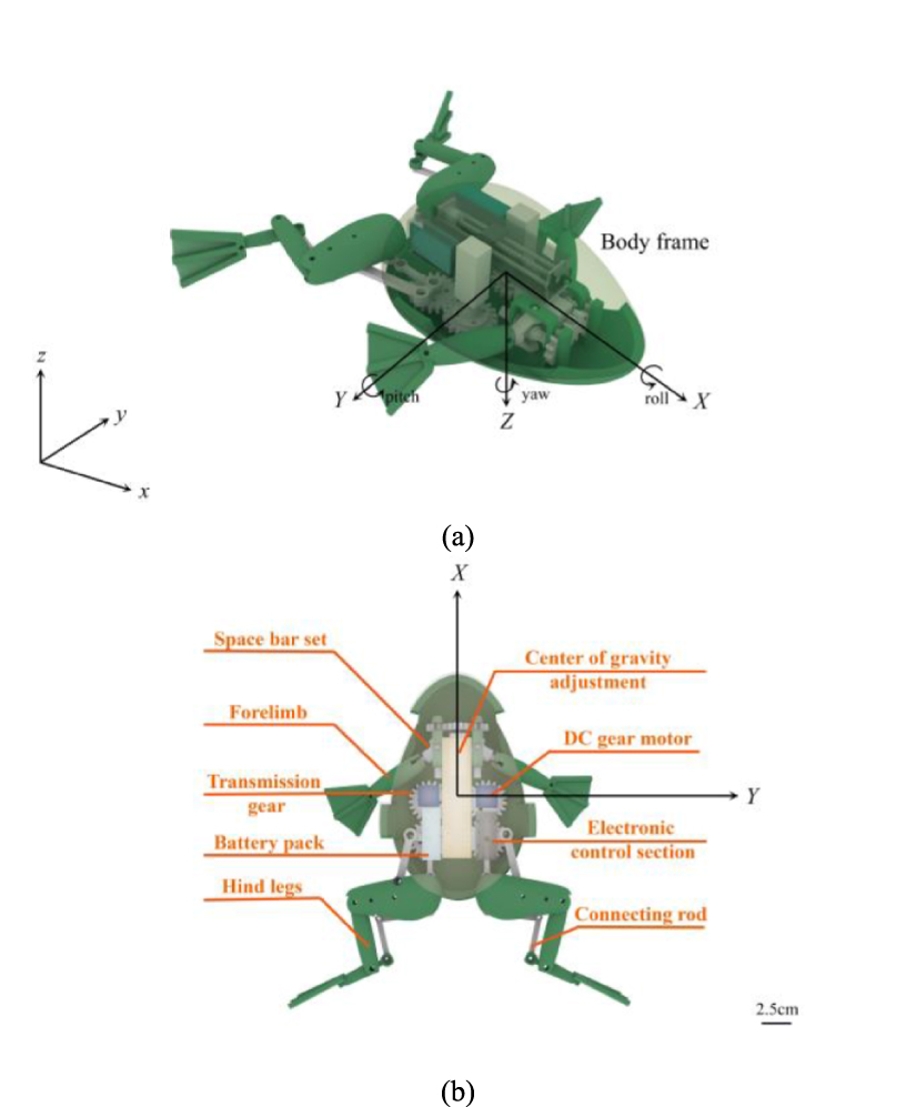 Design and realization of a low-drive bionic frog robot - IOPscience