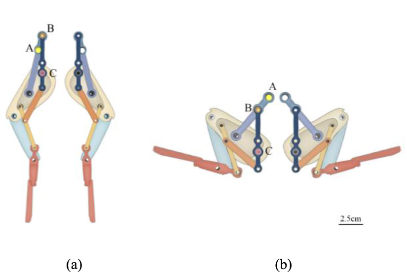 Design and realization of a low-drive bionic frog robot - IOPscience