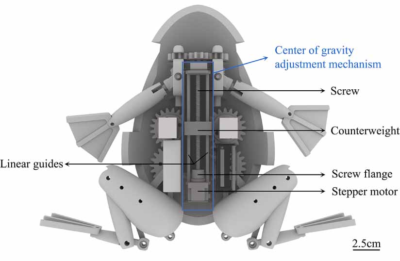 Frog Machine Science Design and realization of a low-drive bionic frog robot - IOPscience