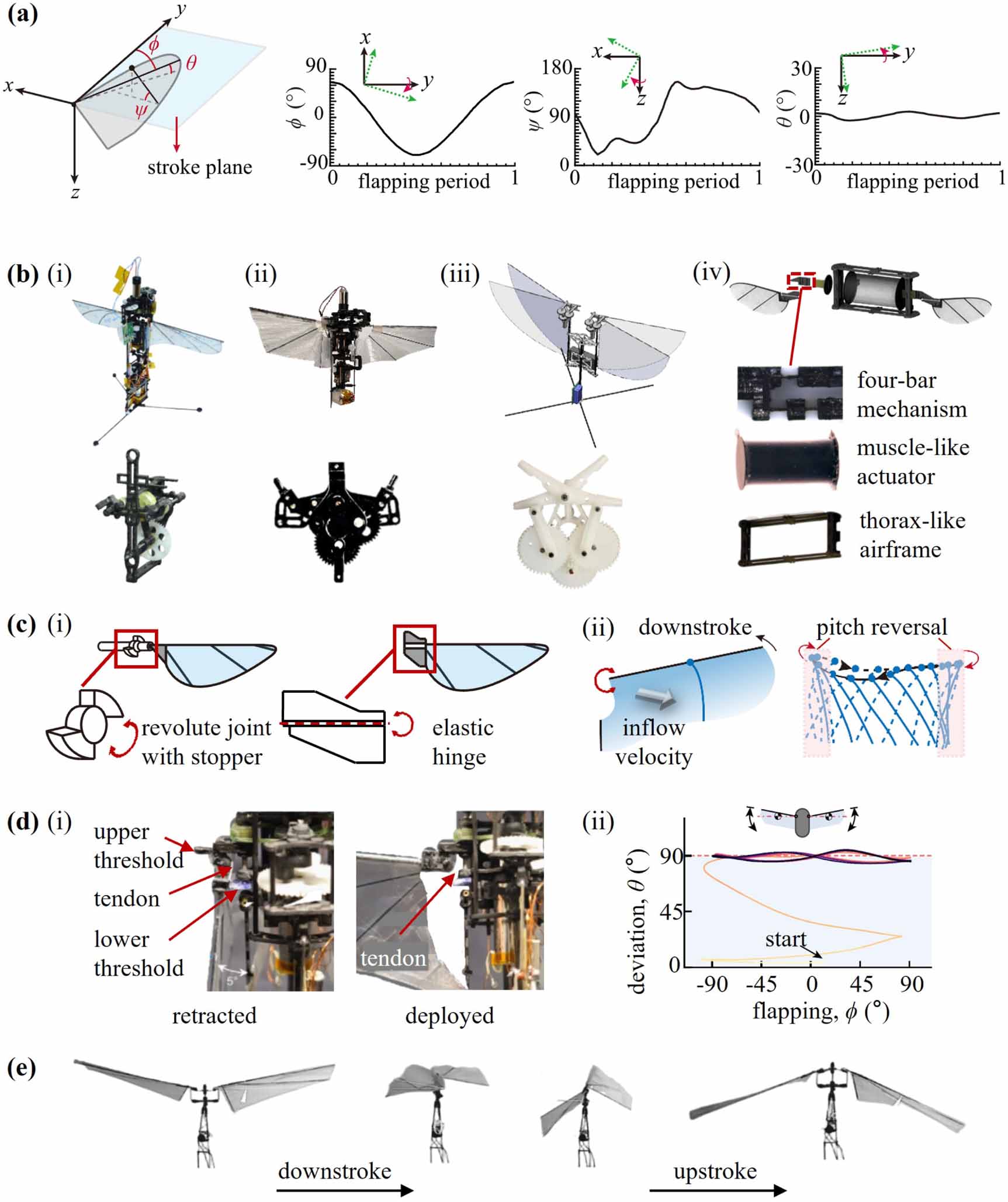 Insect-inspired passive mechanisms in hovering flapping wing micro air ...