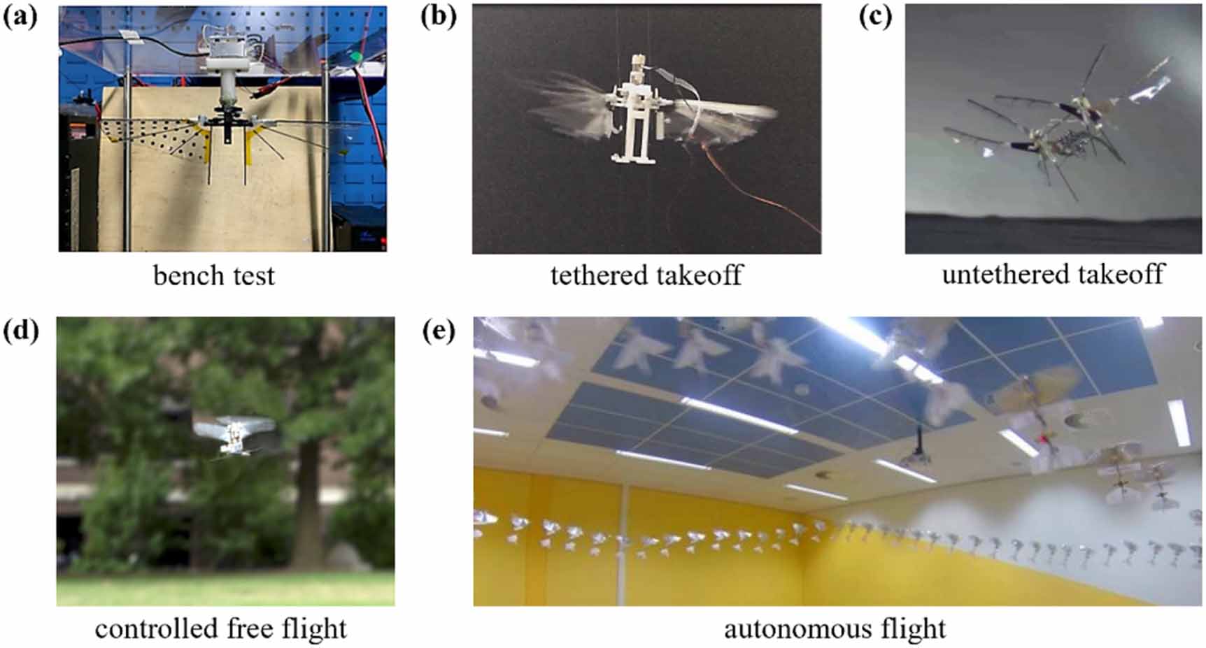Insect-inspired passive mechanisms in hovering flapping wing micro air ...