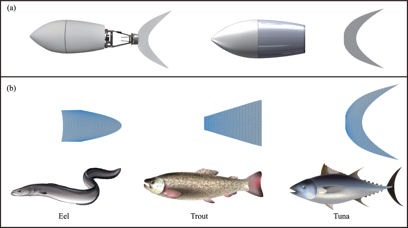 Optimization analysis of a bio-inspired robotic fish employing a