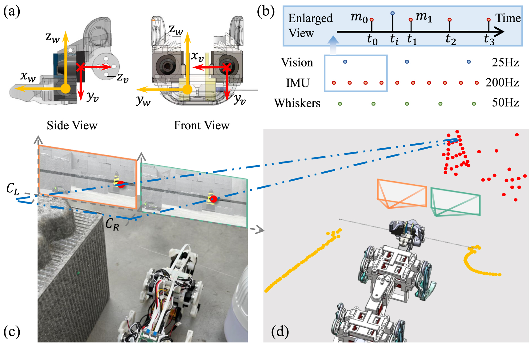 Visual Tactility Visual-tactile perception for a biomimetic robot in constrained ...