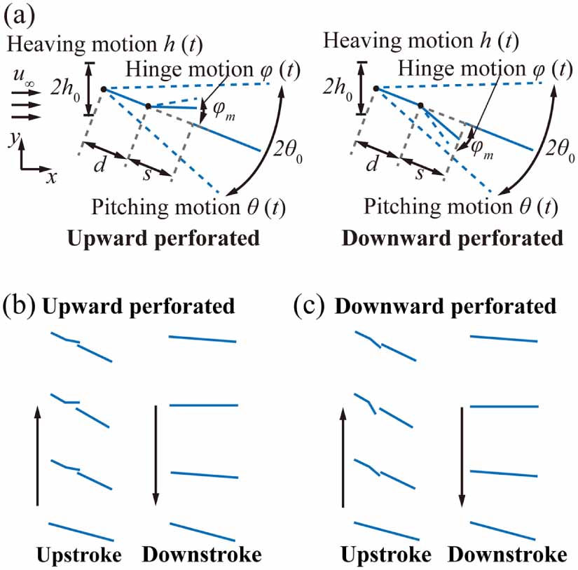 Flow mechanisms and aerodynamic performance of perforated two ...