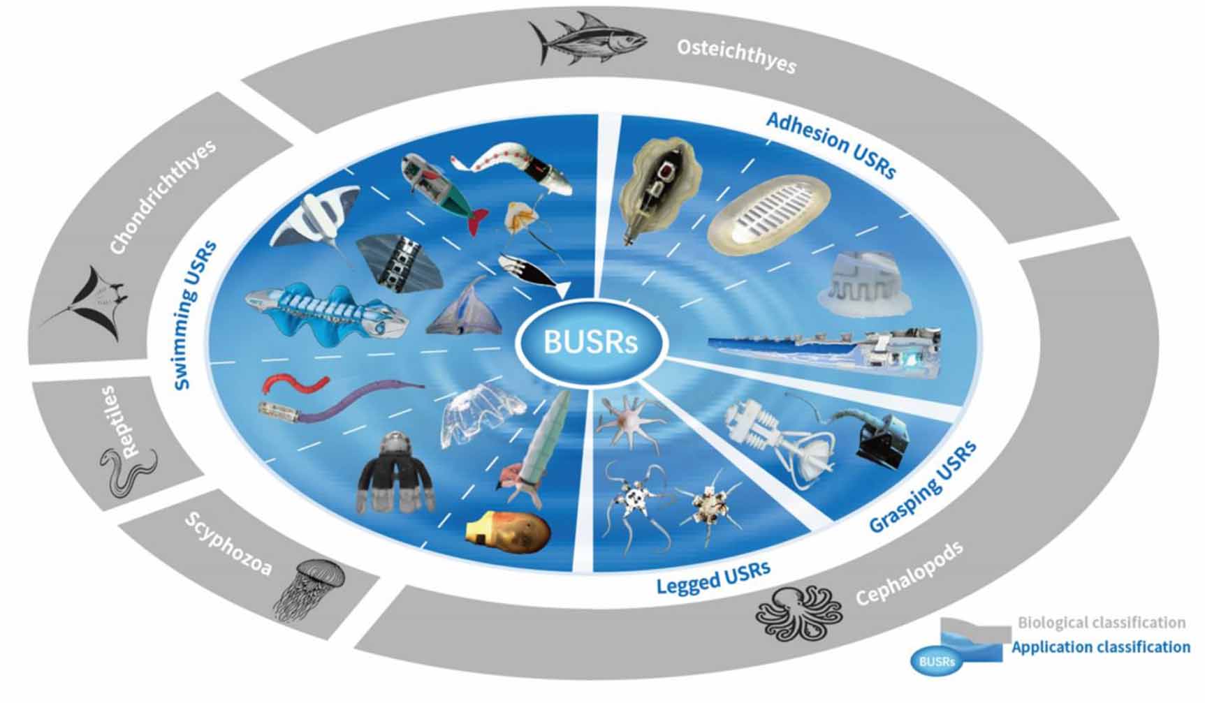 From shallow waters to Mariana Trench: a survey of bio-inspired ...