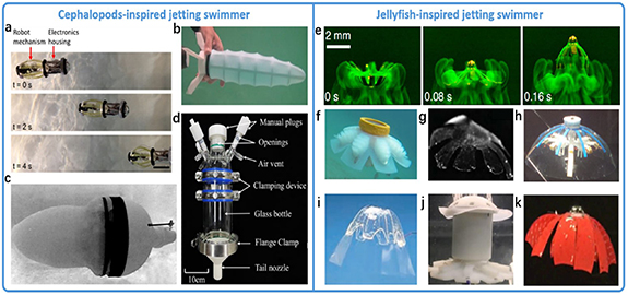 From shallow waters to Mariana Trench: a survey of bio-inspired ...