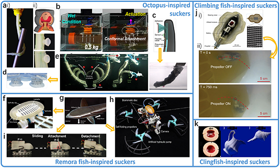 From shallow waters to Mariana Trench: a survey of bio-inspired ...