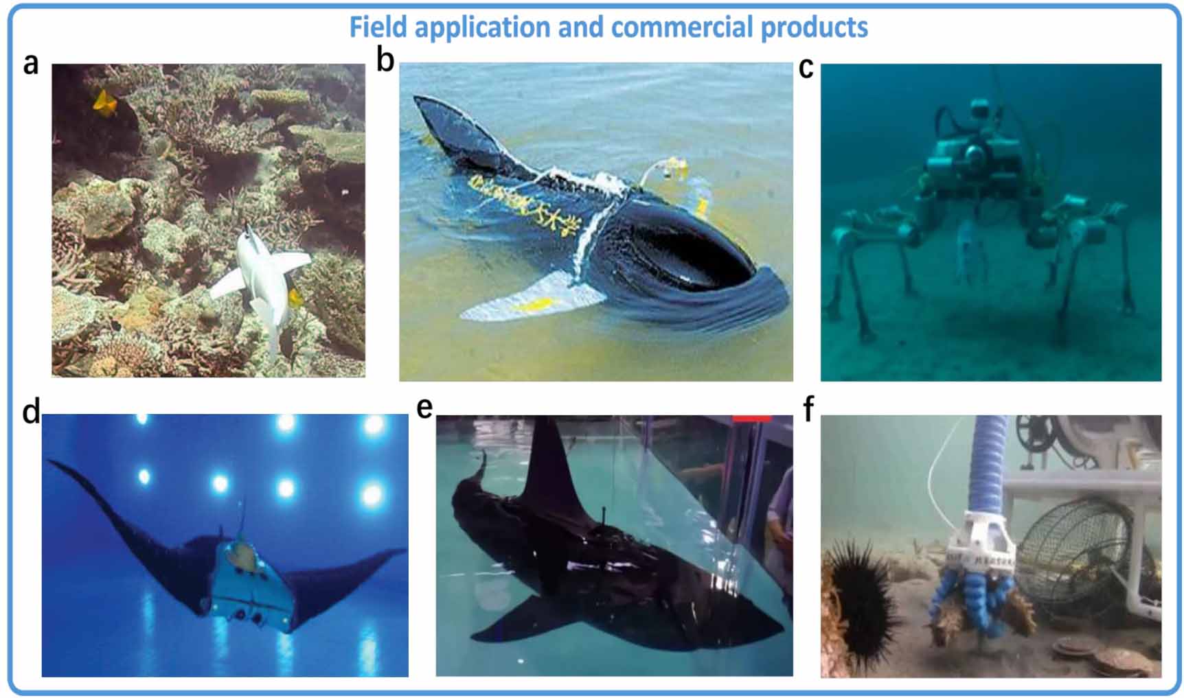 From shallow waters to Mariana Trench: a survey of bio-inspired ...