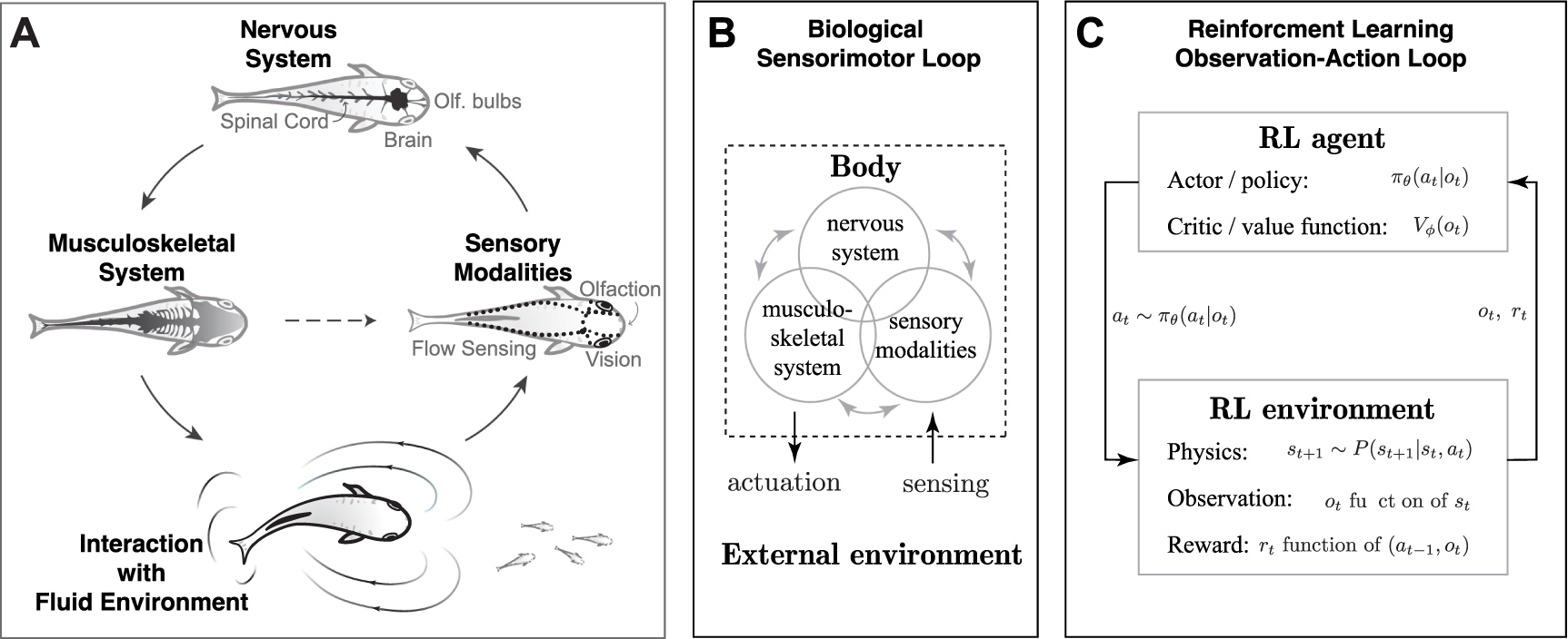 Deep dive into model-free reinforcement learning for underwater ...