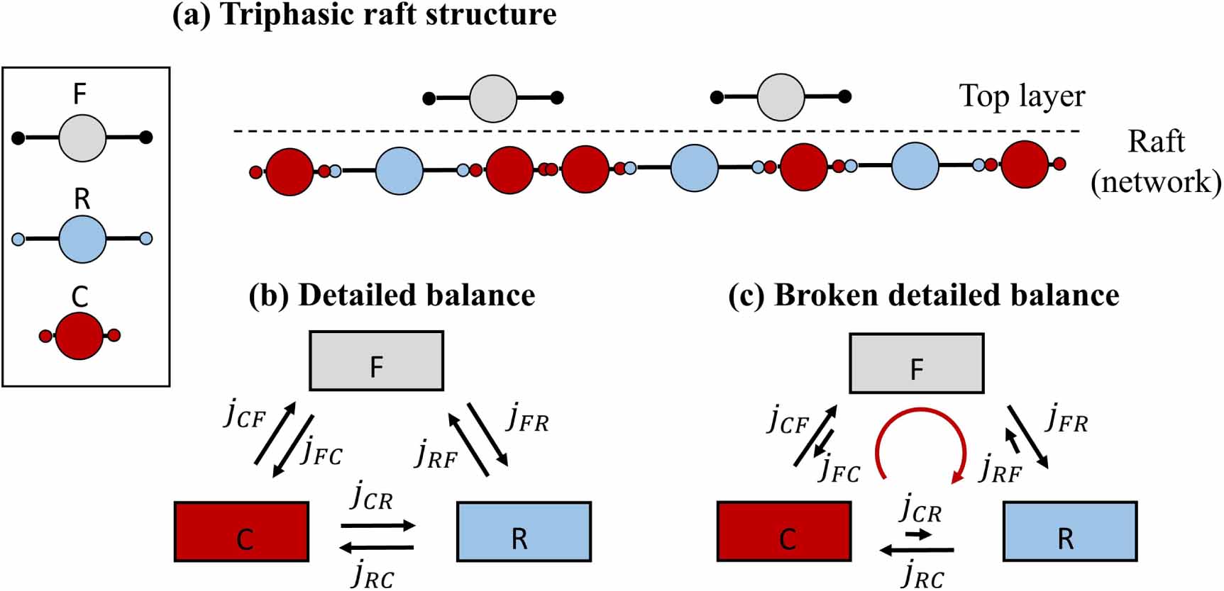 Fire ant rafts offer principles and rules for synthetic programmable ...