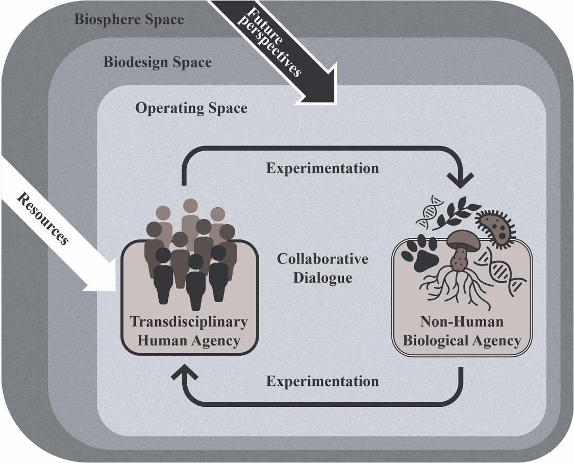 The biodesign framework: professional biodesign practices - IOPscience