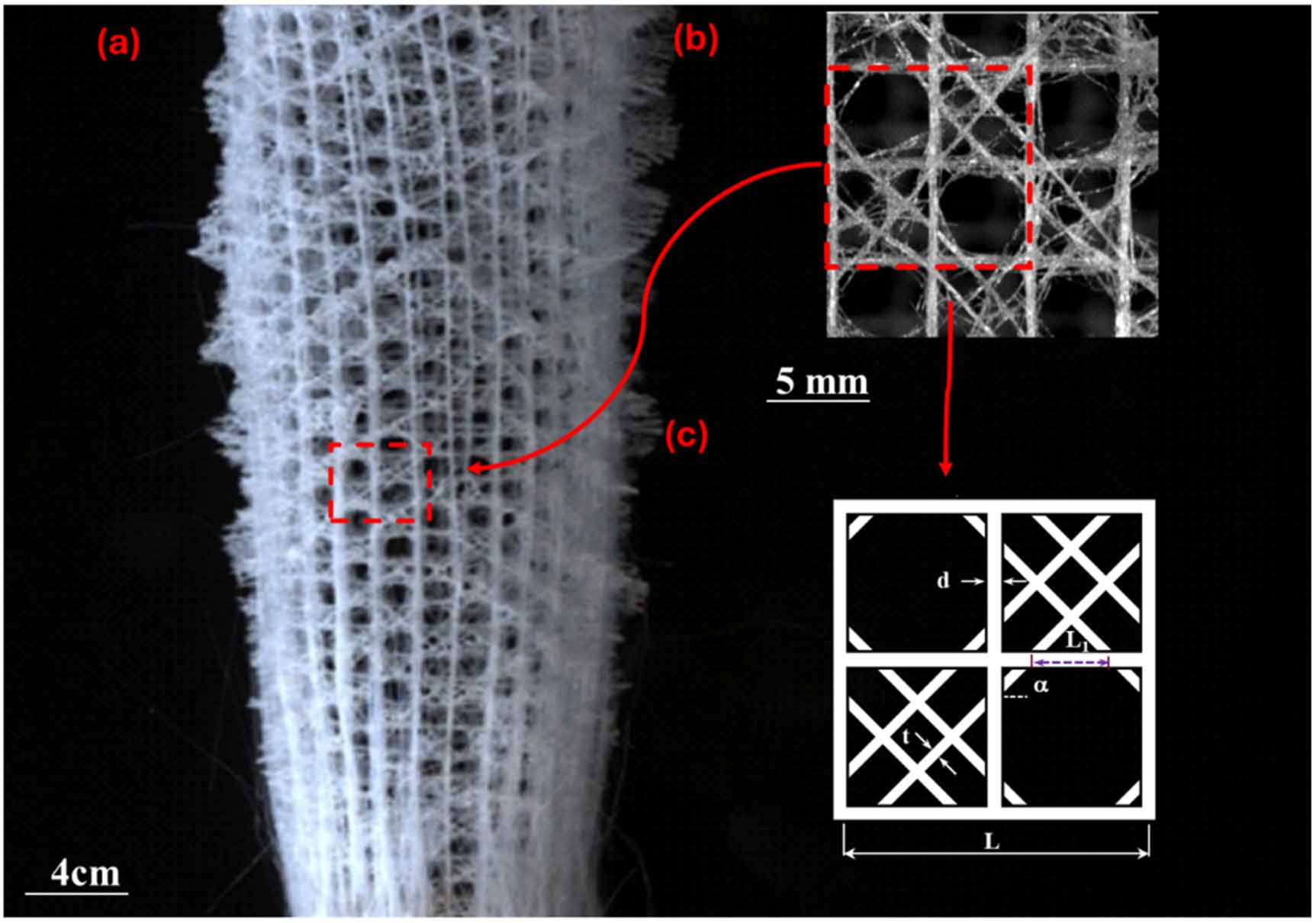Sponge Ultrastructure Topology-driven mechanical performance in architected cellular ...
