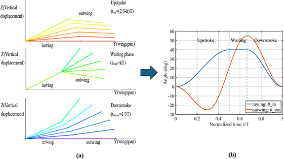 Aerodynamic optimization of a two-segment flapping wing via kinematic ...