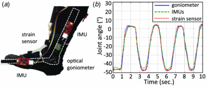 Design and control of a bio-inspired soft wearable robotic device for ...