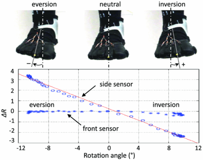 Design and control of a bio-inspired soft wearable robotic device for ...