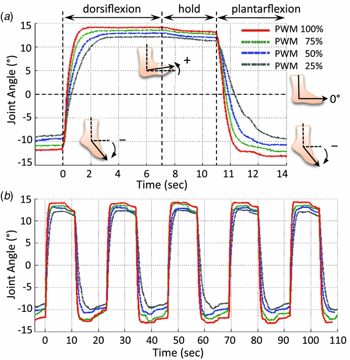 Design and control of a bio-inspired soft wearable robotic device for ...