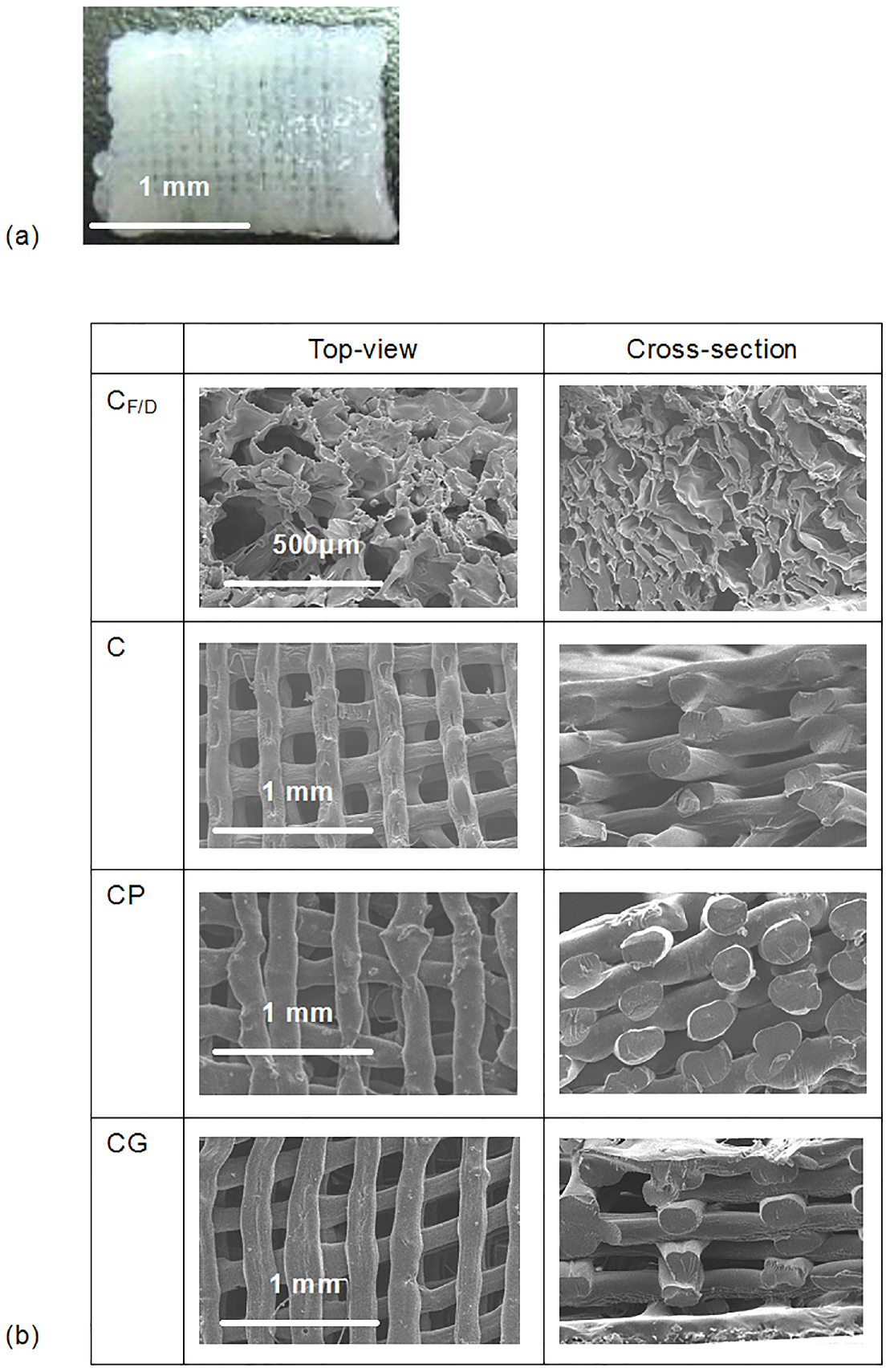 Chitosan-based hydrogel tissue scaffolds made by 3D plotting promotes ...