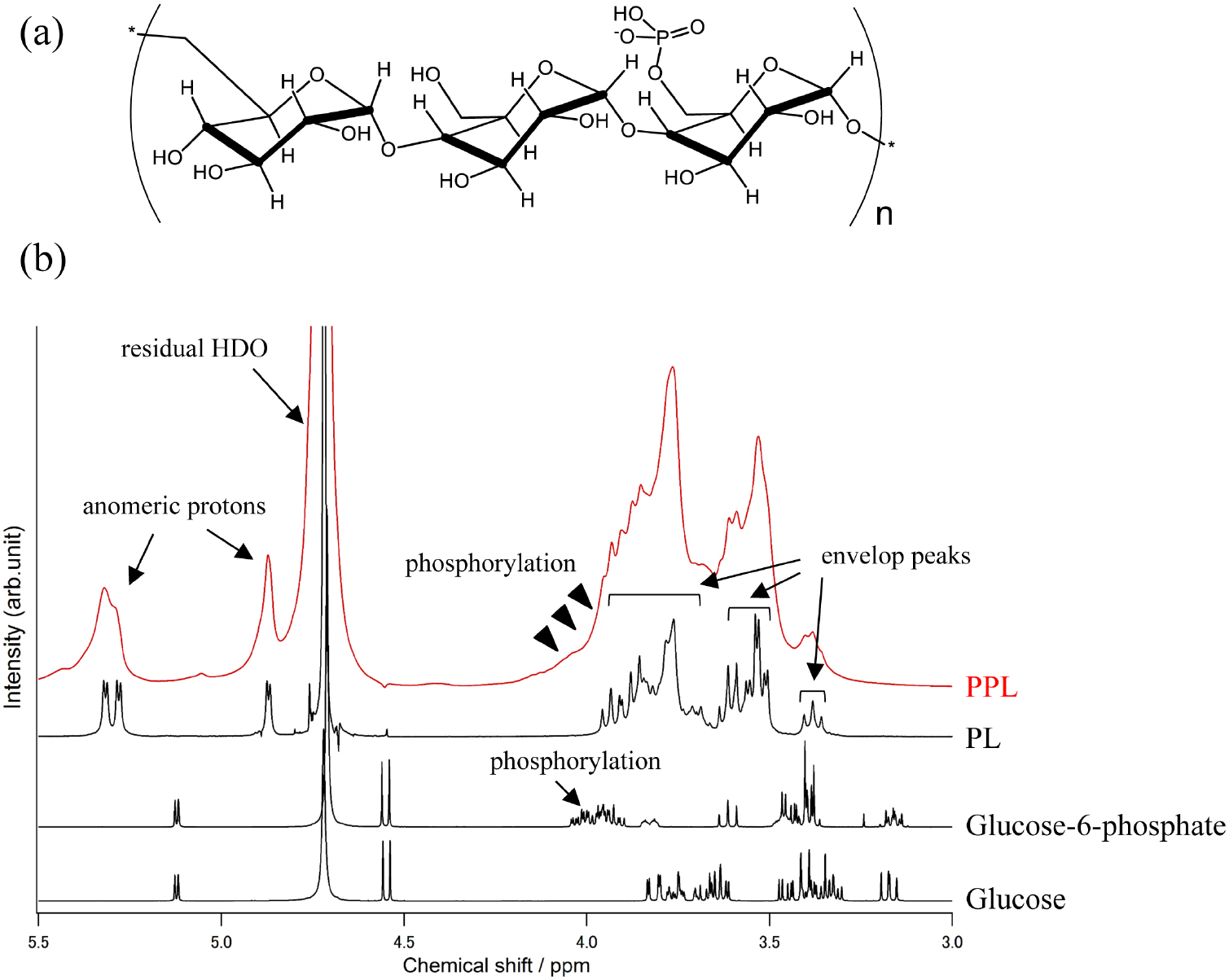 Pullan Structure Bone engineering by phosphorylated-pullulan and β-TCP composite ...