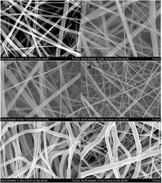 A vascular tissue engineering scaffold with core–shell structured nano ...