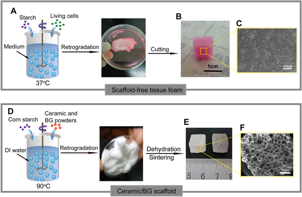 A versatile three-dimensional foam fabrication strategy for soft and ...