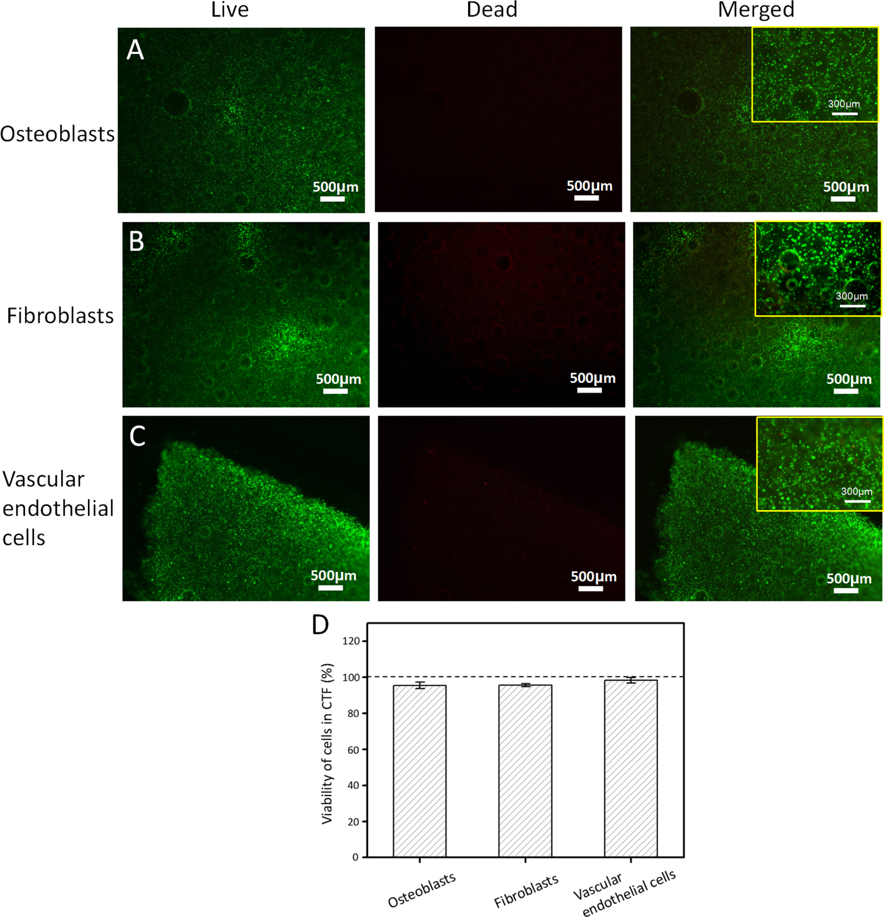 A versatile three-dimensional foam fabrication strategy for soft and ...