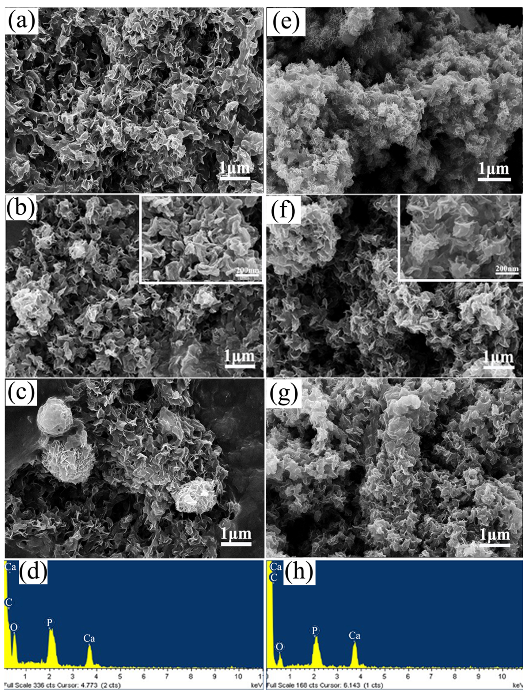 Synthesis spherical porous hydroxyapatite/graphene oxide