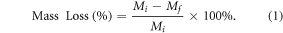 Equation (1)