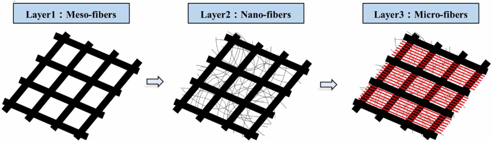 Multi-scale hierarchical scaffolds with aligned micro-fibers for ...
