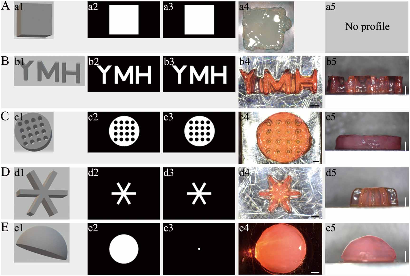 Modified mannan for 3D bioprinting: a potential novel bioink for tissue ...