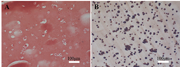 Modified mannan for 3D bioprinting: a potential novel bioink for tissue ...