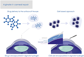 Figure 2. Refer to the following caption and surrounding text.