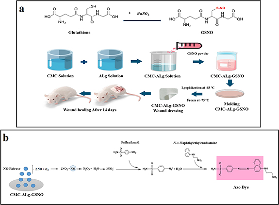 chitosan and alginate wound dressings a short review PDF] Chitosan and Alginate Wound Dressings: A Short Review